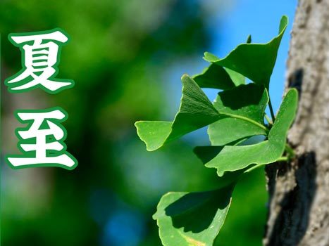 今日夏至 丨炎炎夏日致敬奮斗在工地的廣杰家人們！